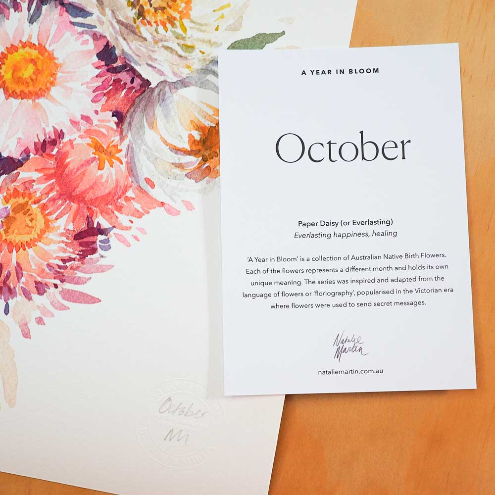 'October' Paper Daisy Birth Flower Art Print