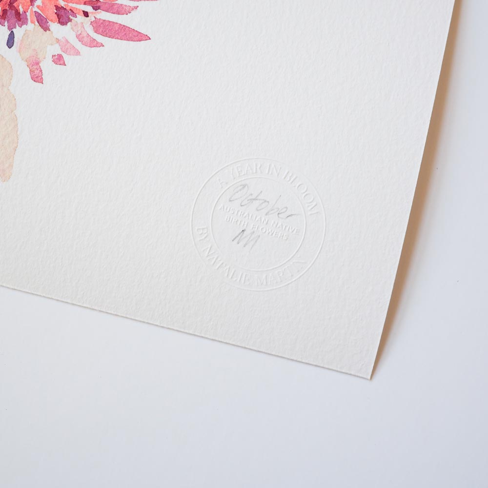 'September' Geraldton Wax Birth Flower Art Print
