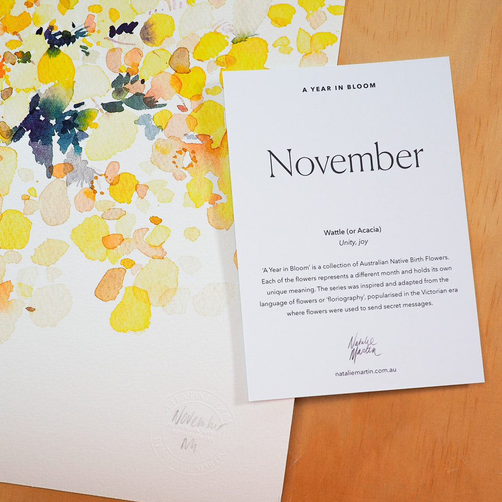 'November' Wattle Birth Flower Art Print