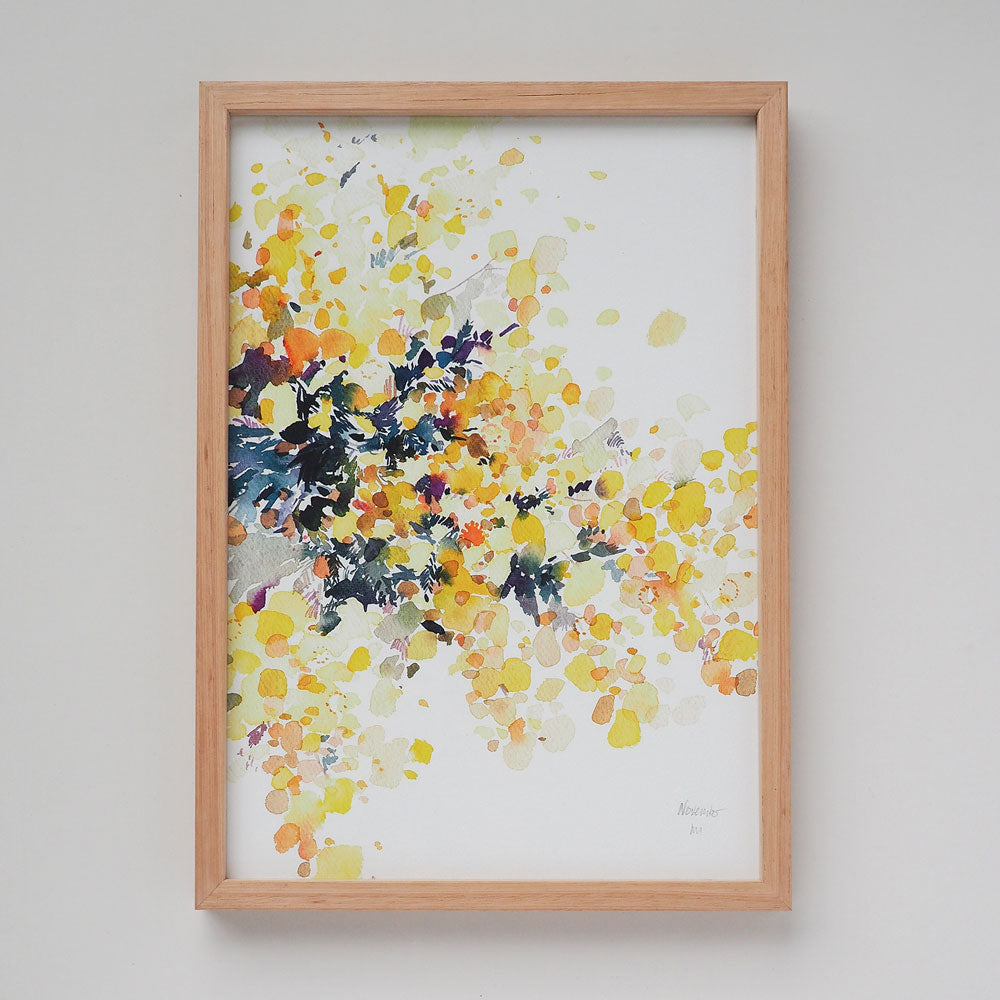 'November' Wattle Birth Flower Art Print