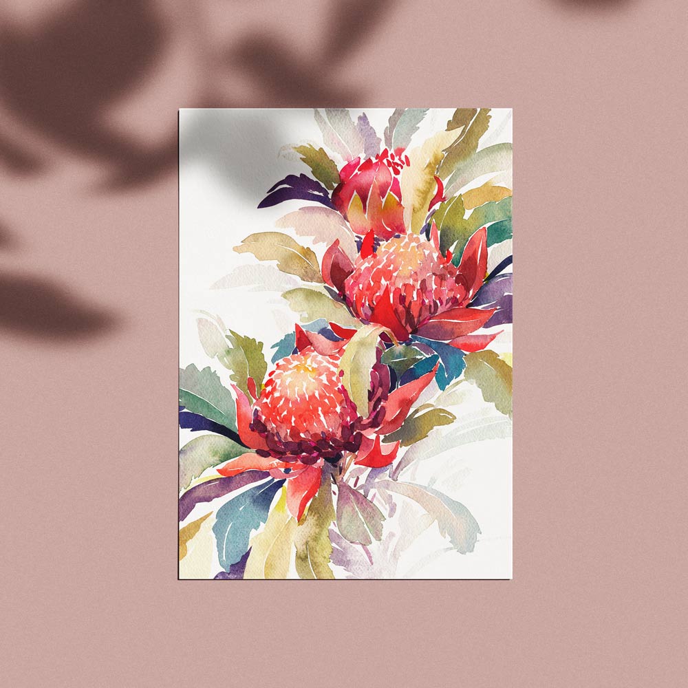 'December' Waratah Birth Flower Art Print