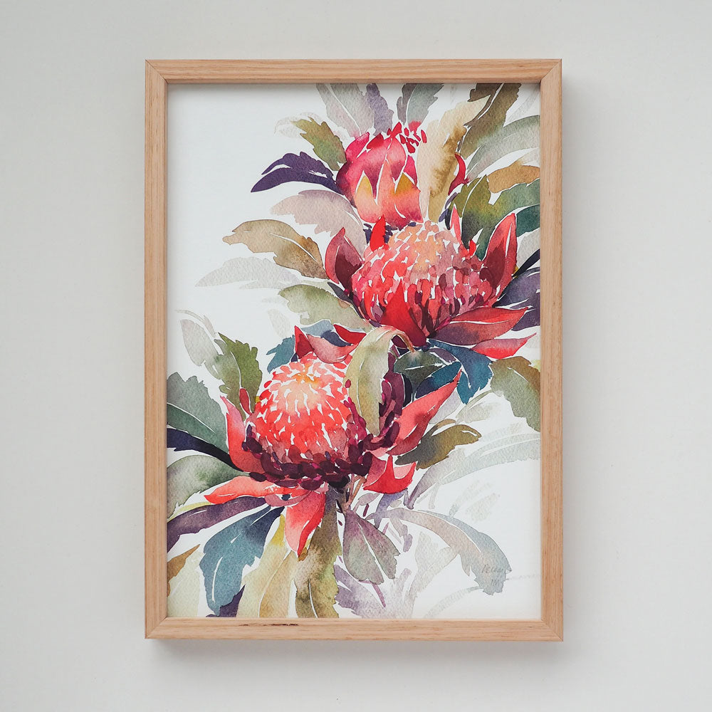 'December' Waratah Birth Flower Art Print