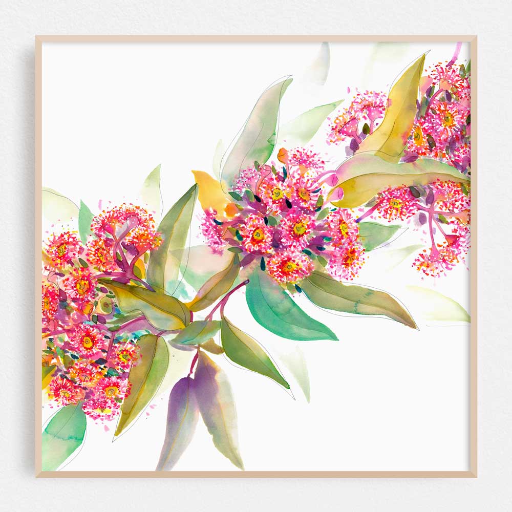 &#39;Ashmore&#39;s Flowering Gum&#39; Limited Edition Print