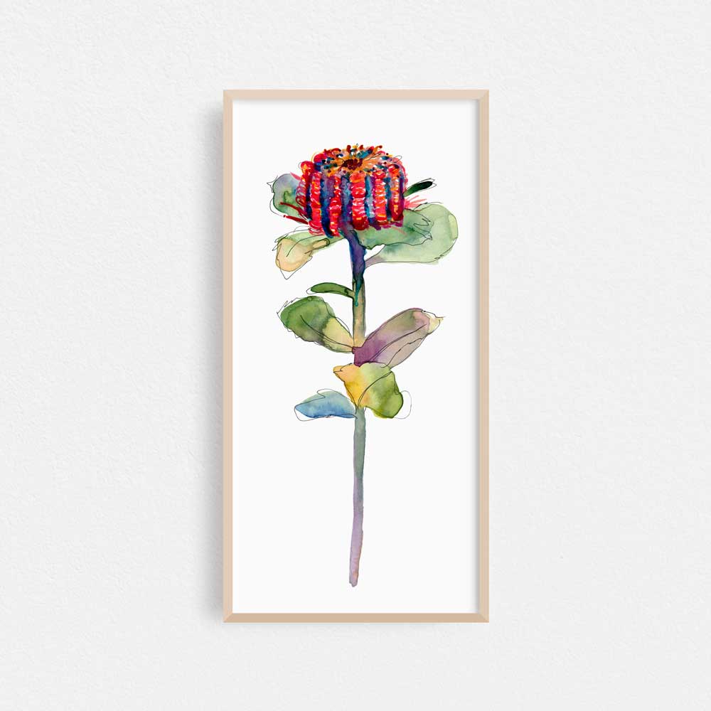 'Untitled (Banksia)' Limited Edition Print