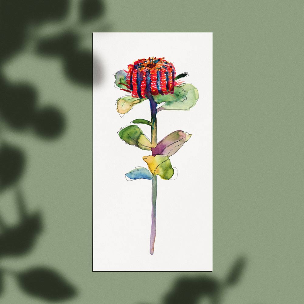 'Untitled (Banksia)' Limited Edition Print