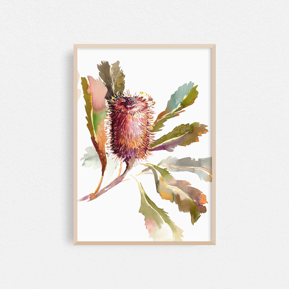'Banksia Robur' Limited Edition Print