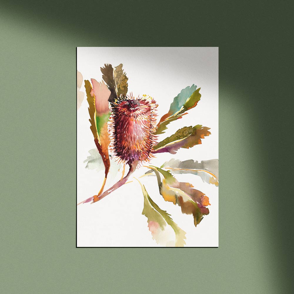 'Banksia Robur' Limited Edition Print
