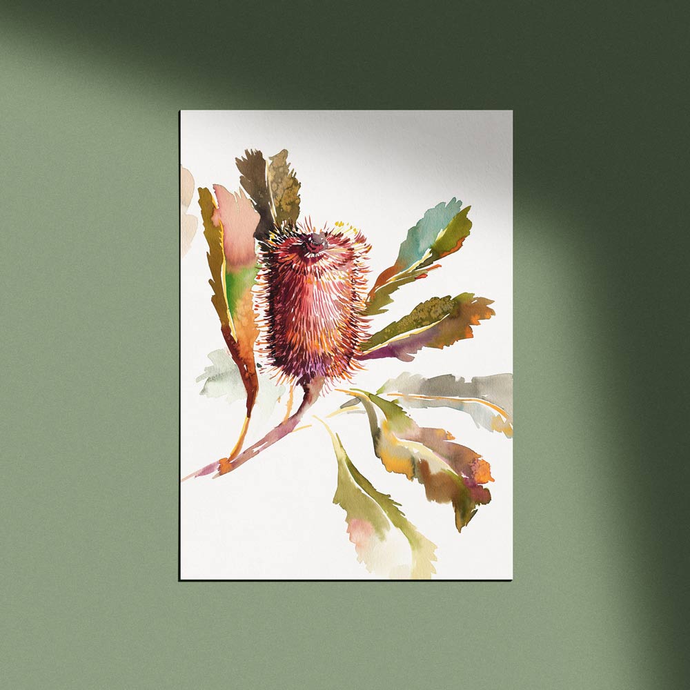 &#39;Banksia Robur&#39; Limited Edition Print