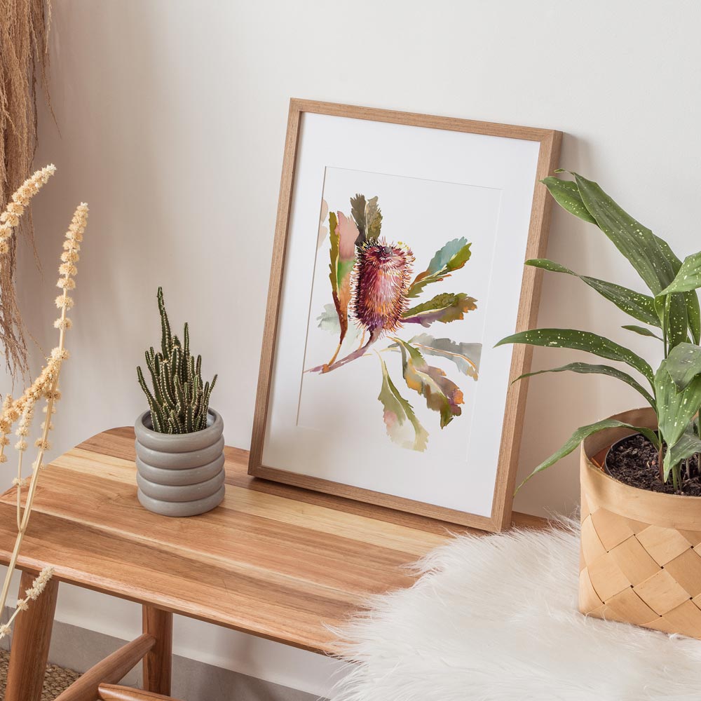 'Banksia Robur' Limited Edition Print