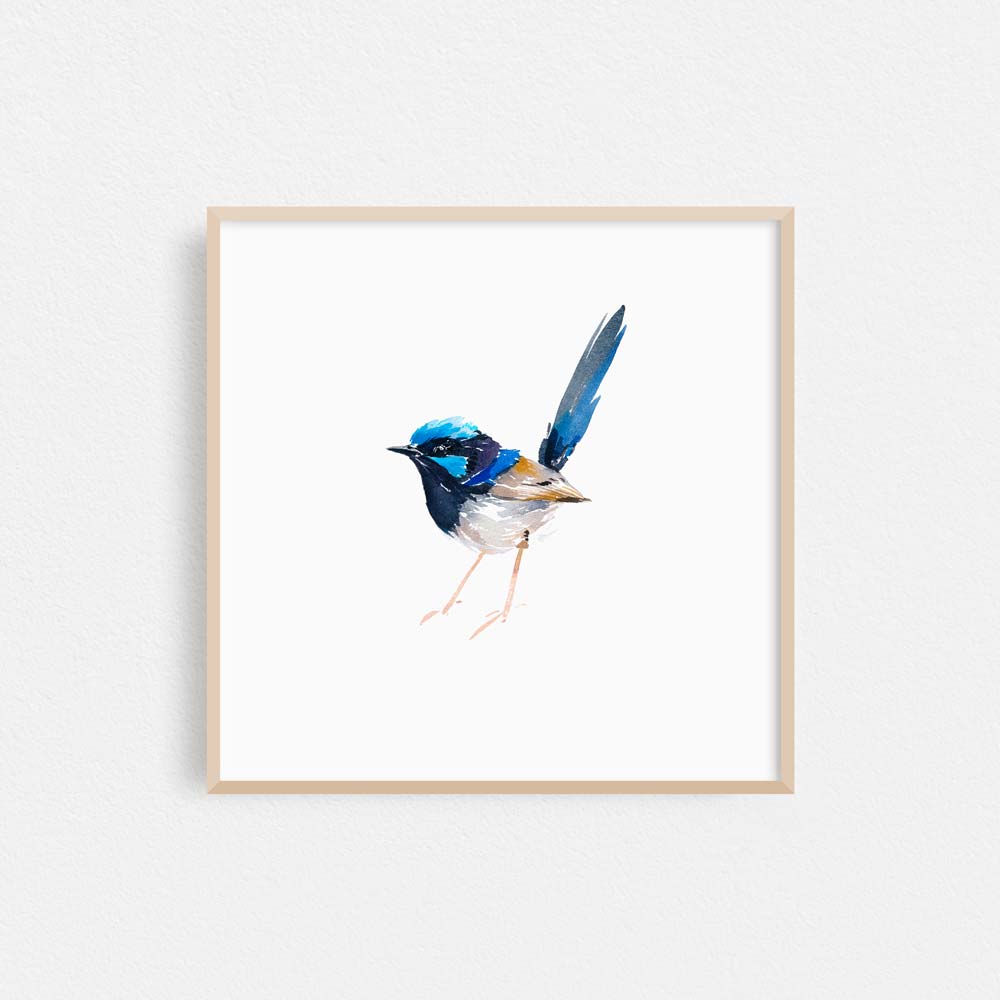 Framed &#39;Superb Fairy Wren - Bright Eyes&#39; Limited Edition Watercolour Art Print by Natalie Martin