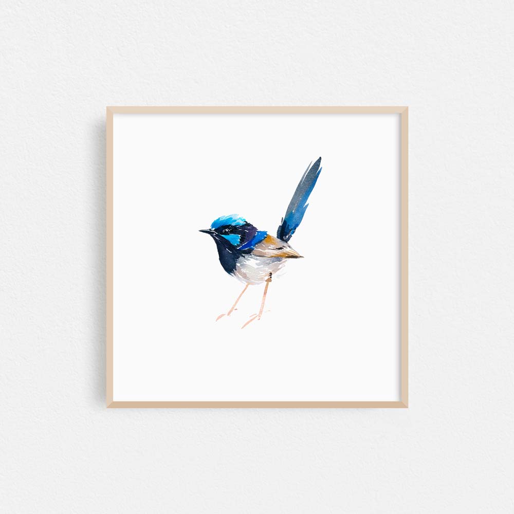 Unframed 'Superb Fairy Wren - Bright Eyes' Limited Edition Watercolour Art Print by Natalie Martin