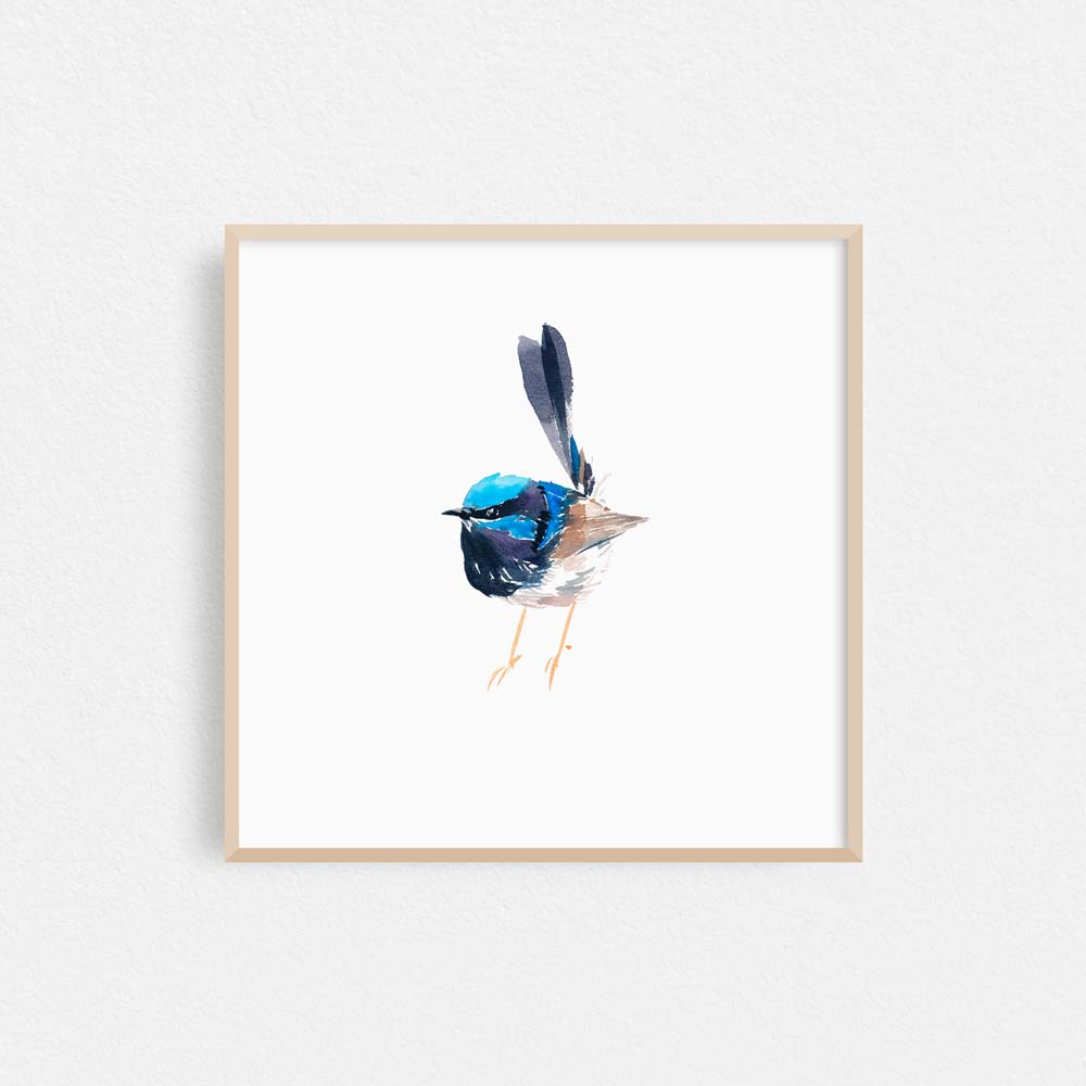 Unframed 'Superb Fairy Wren - Dumpling' Limited Edition Watercolour Art Print by Natalie Martin