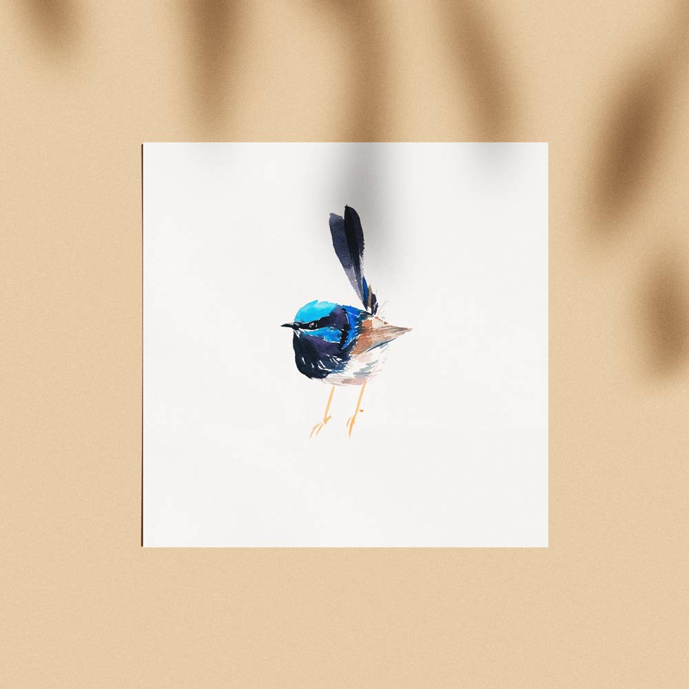 Unframed 'Superb Fairy Wren - Dumpling' Limited Edition Watercolour Art Print by Natalie Martin