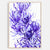 Framed 'Candlestick Banksia in Blue' Limited Edition Print