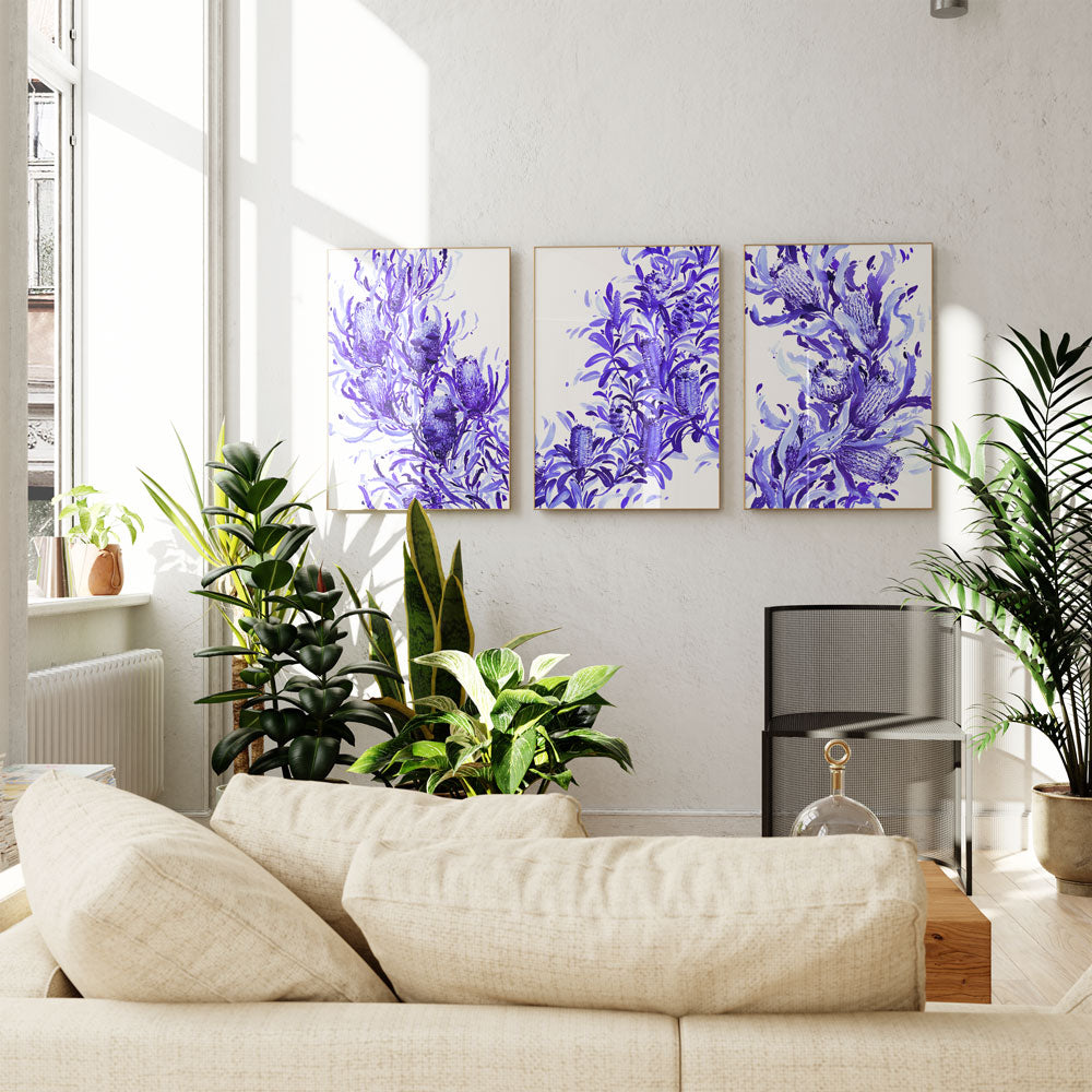 Series of three watercolour paintings, including &#39;Candlestick Banksia in Blue&#39; Limited Edition Print