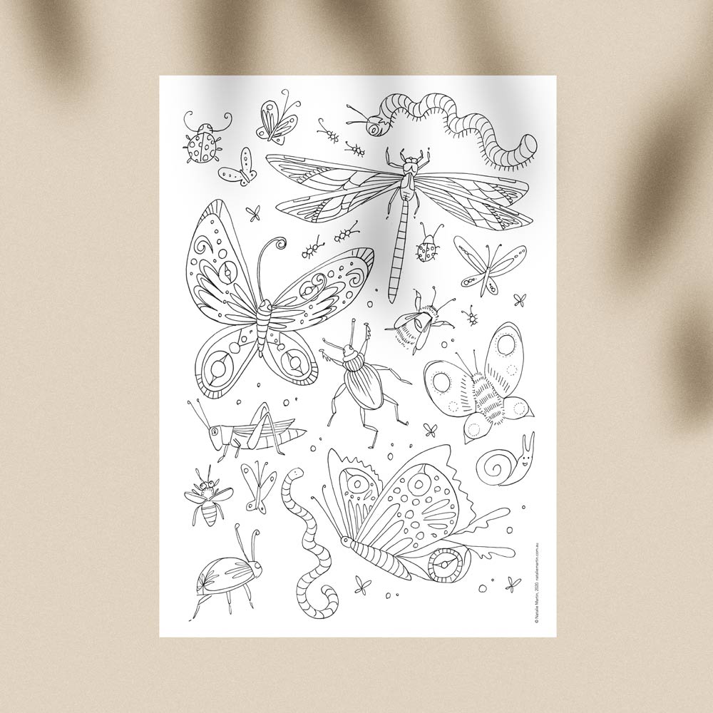 &#39;Insects&#39; Colouring-in Template