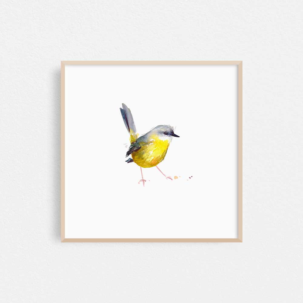 Unframed 'Eastern Yellow Robin' Limited Edition Watercolour Art Print by Natalie Martin