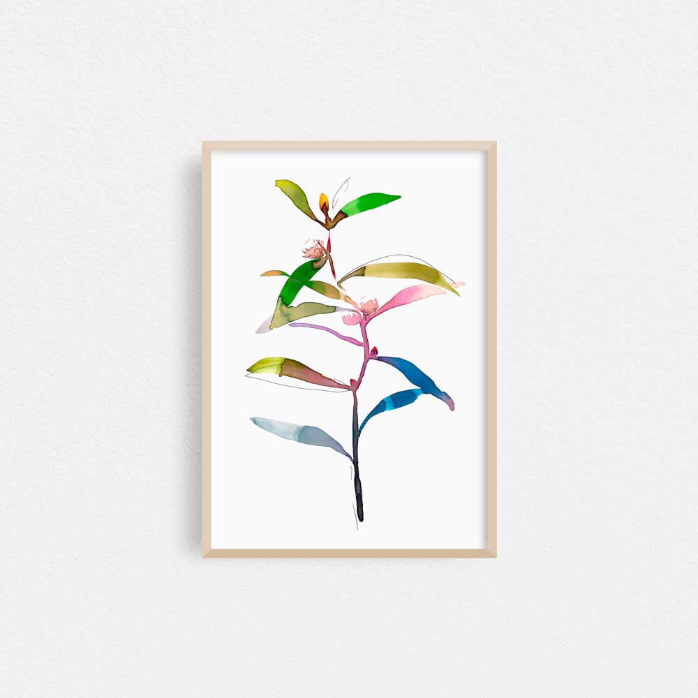 'Hakea Bud' Limited Edition Print