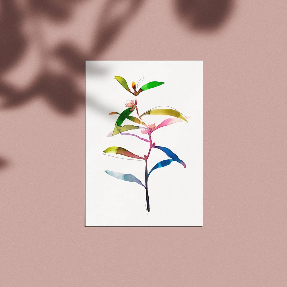 'Hakea Bud' Limited Edition Print