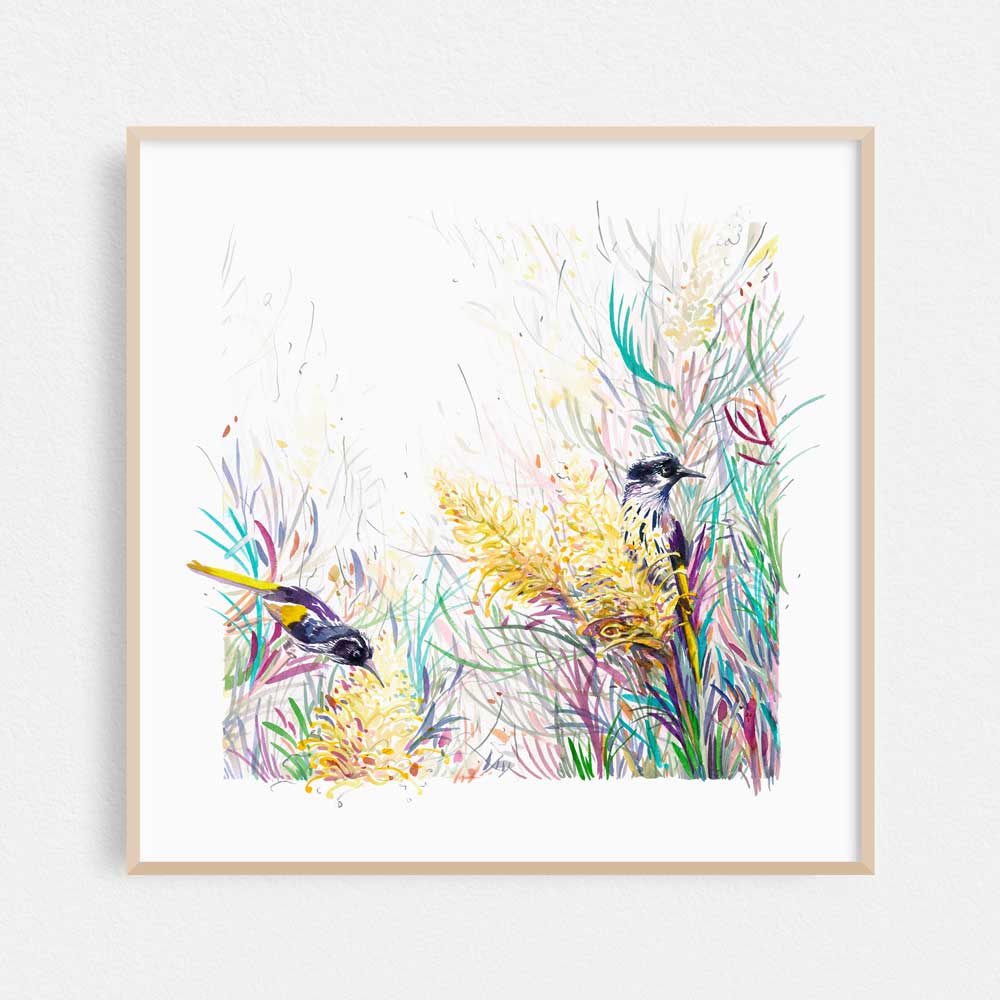 &#39;Honeyeaters in the Moonlight&#39; Limited Edition Print