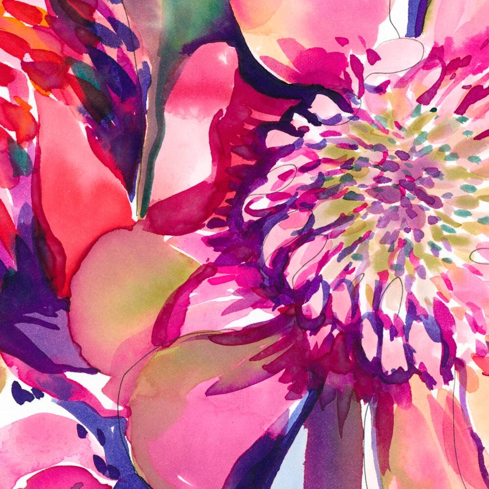'Jewels' Limited Edition Print