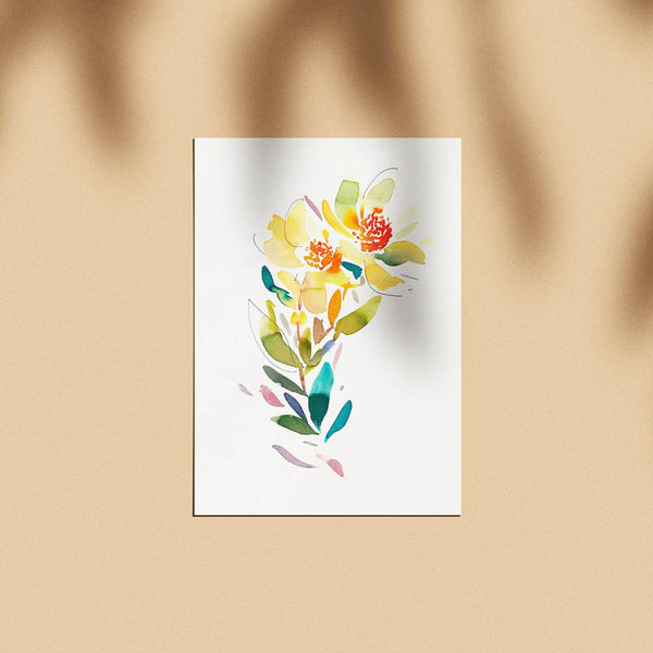 'Leucadendron Discolor' Limited Edition Print