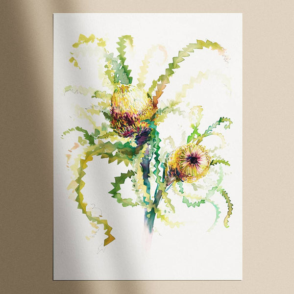 'The Neighbour's Neighbour Banksia' Limited Edition Print