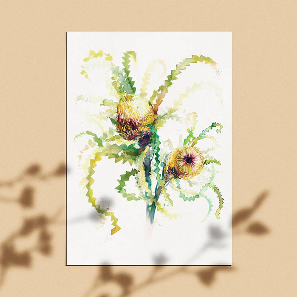 'The Neighbour's Neighbour Banksia' Limited Edition Print