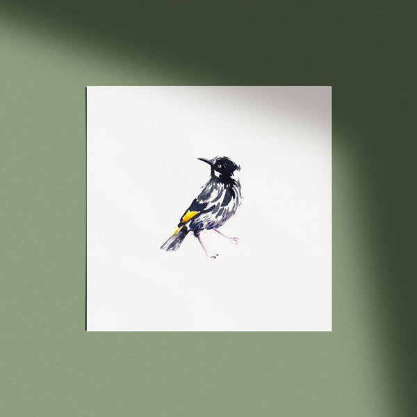 'New Holland Honeyeater' Limited Edition Print