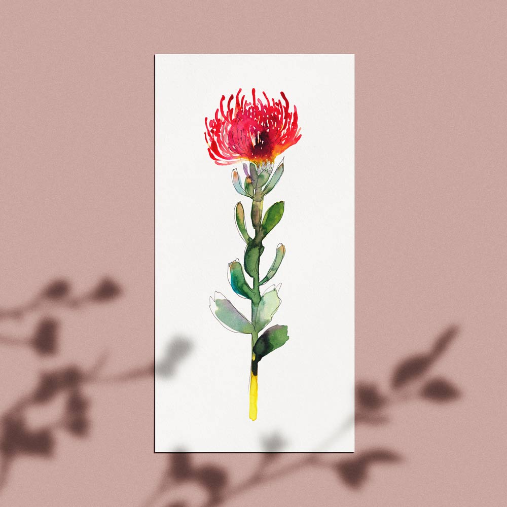 'Untitled (Pin Cushion)' Limited Edition Print