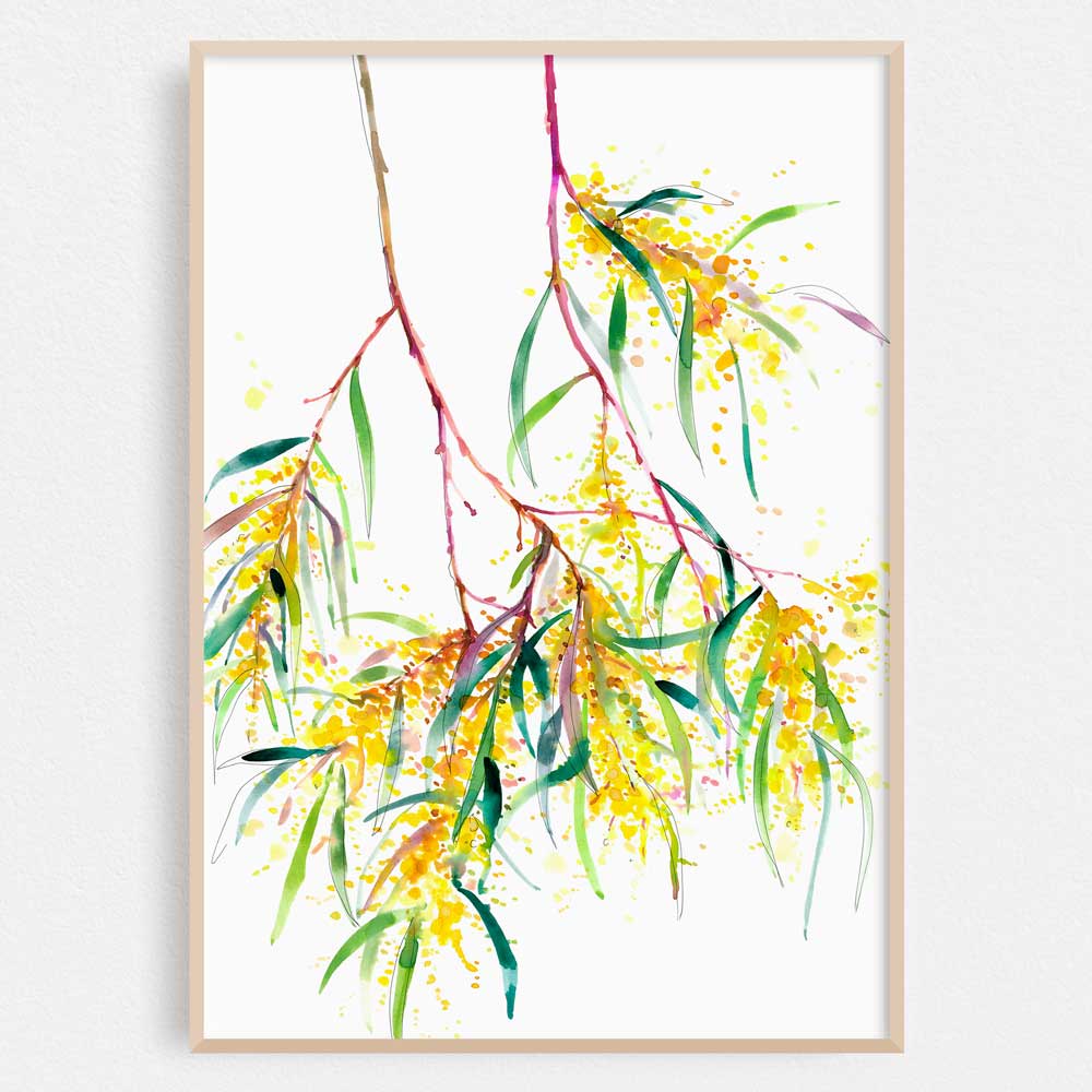 'Roadside Wattle' Limited Edition Print
