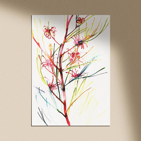 'Roger's Grevillea' Limited Edition Print - Natalie Martin