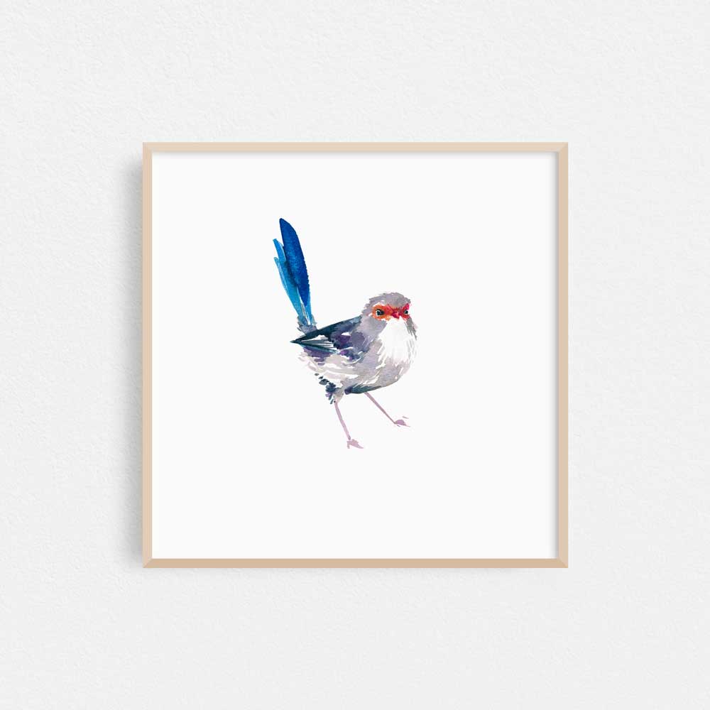 Unframed 'Splendid Fairy Wren Female' Limited Edition Watercolour Art Print by Natalie Martin
