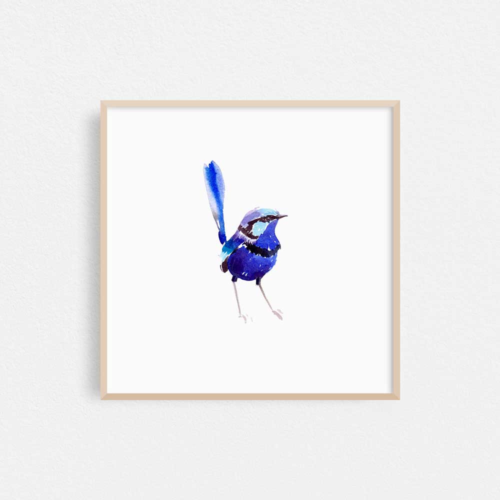 Unframed 'Splendid Fairy Wren Male' Limited Edition Watercolour Art Print by Natalie Martin