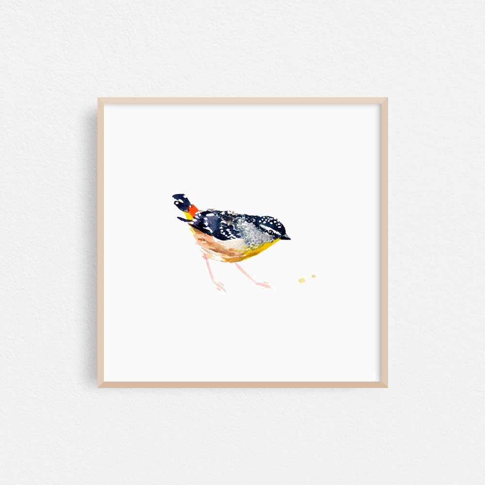 Framed &#39;Spotted Pardalote&#39; Limited Edition Watercolour Art Print by Natalie Martin