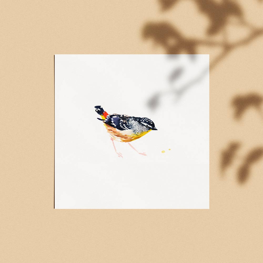 Unframed 'Spotted Pardalote' Limited Edition Watercolour Art Print by Natalie Martin