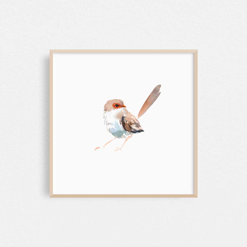 Unframed 'Superb Fairy Wren Female' Limited Edition Watercolour Art Print by Natalie Martin