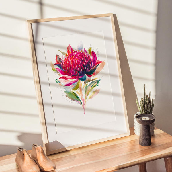'Waratah Study' Limited Edition Print