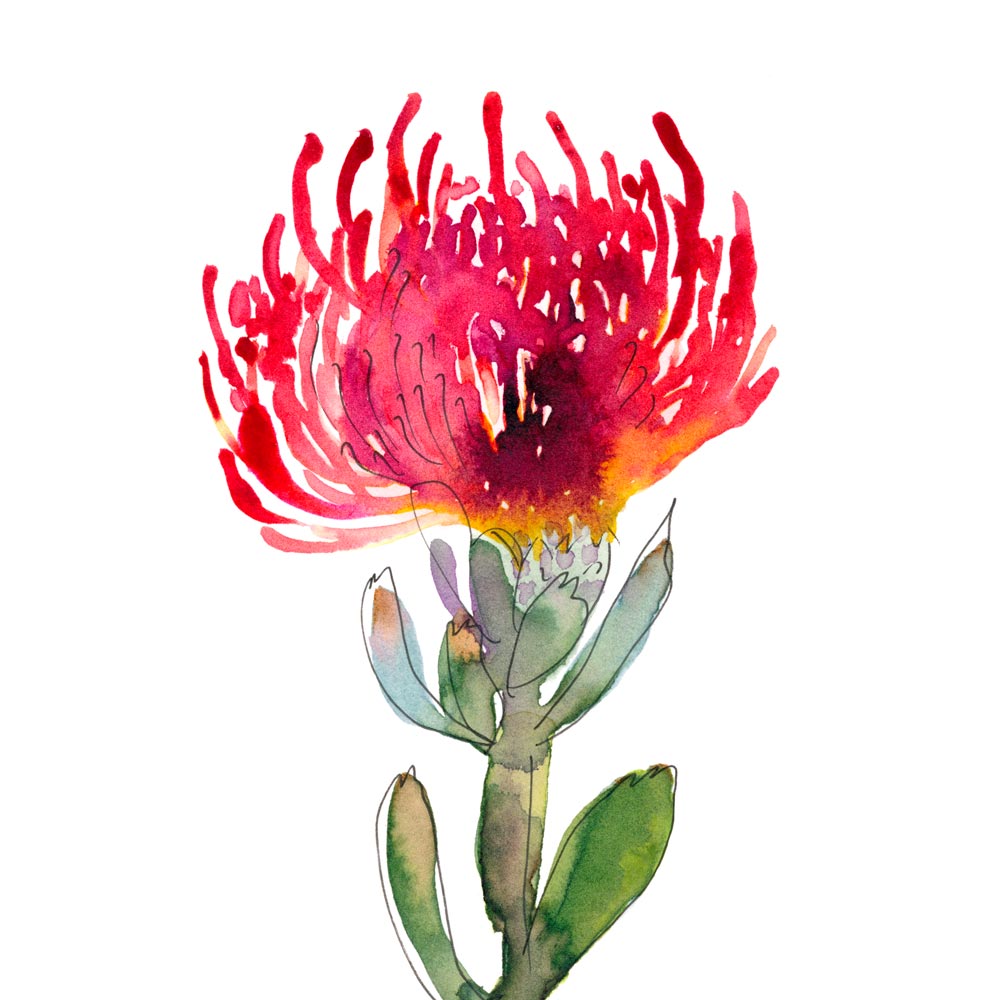 'Untitled (Pin Cushion)' Limited Edition Print