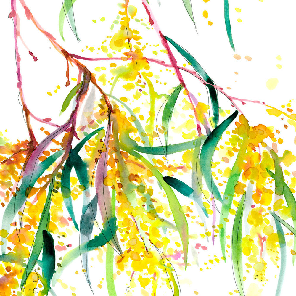 'Roadside Wattle' Limited Edition Print